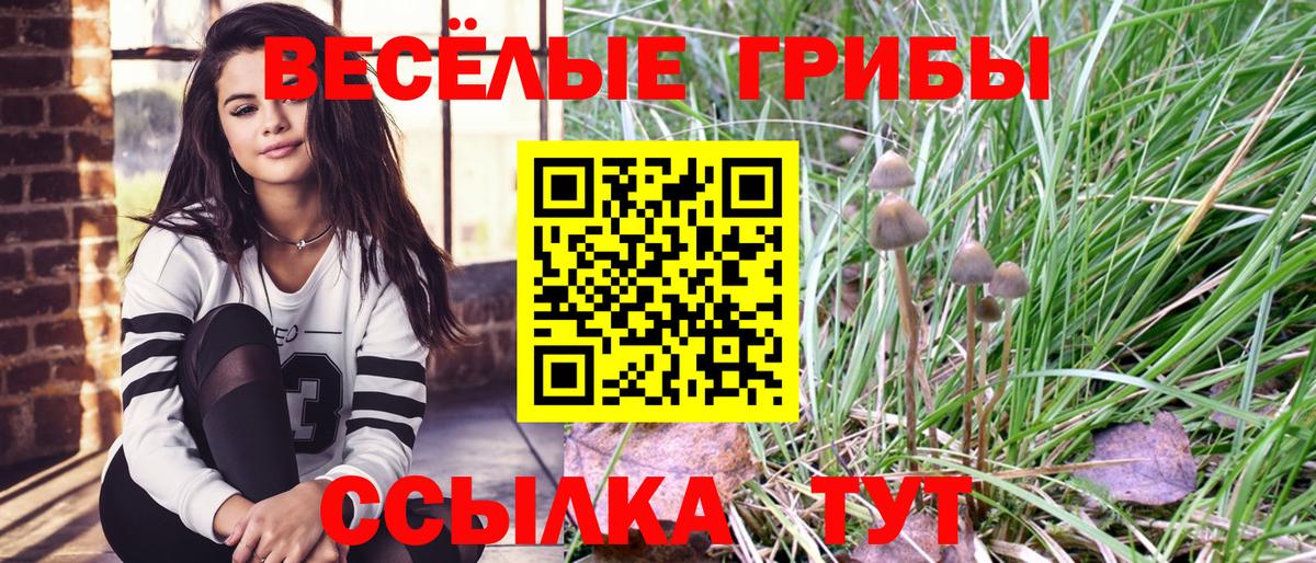 Рубцовск  Псилоцибиновые грибы мухоморы  Вход с VPN 