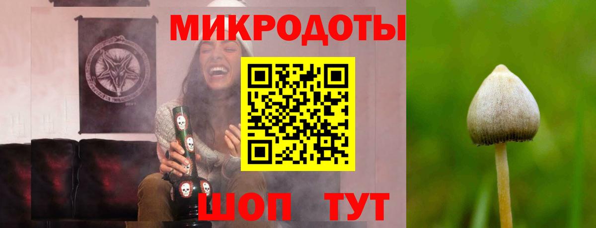 Галлюциногенные грибы ЛСД Рубцовск